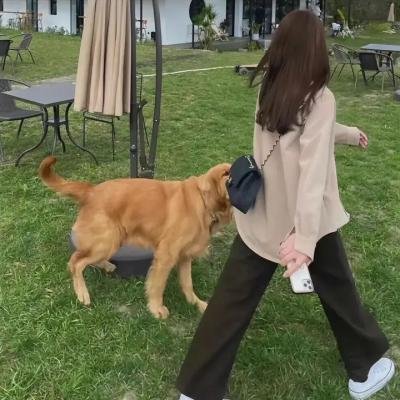 查克贝里演唱会